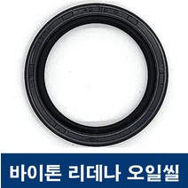 에스케이종합상사 바이톤 리데나 35-52-7 (35X52X7) 오일씰 TC