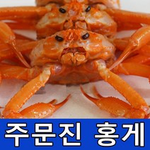 산지직송 주문진 (주)동해수산 홍게 2kg 3kg 붉은 대게 당일조업 당일발송 믿고 구매해 주시면 좋은 상품으로 보답하겠습니다., 1박스, 프리미엄3kg