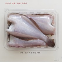 주문진 산지직송 오늘 새벽 바다에서 잡은 싱싱한 생물 가자미 대 3미(두절 전 28-30cm), 3마리