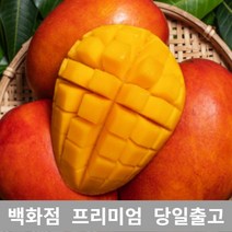 [특등급선별] 애플망고 4.5kg 페루애플망고 페루애플망고 페루망고 애플망고선물세트 수입애플망고 망고선물세트 애플망고선물 과일 과일종류 제철과일 겨울과일 망고쇼핑몰 과일선물 레드망