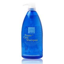 자브 파워플러스 쿨 샴푸 1000ml 청량감 두피진정 쿨링샴푸, 단품
