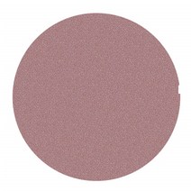 올윈 디스크 샌더 페이퍼 (ABS-1000전용) 80방 (10pcs), 10개