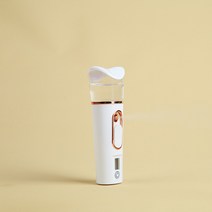 디에고 수분촉촉 나노미스트기 수유분측정기
