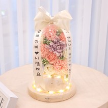 미니화환 스페셜데이 유리돔 개업 승진 축하 이사 부모님 생신 선물, 핑크카네이션미니화환유리돔, 9번문구