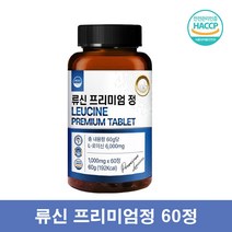 웰리즈 류신프리미엄정 L 류신 단백질 타블렛 뉴신 로이신 루신, 60정 1통, 1개