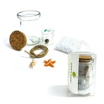 대한민국 국산 마리모 키우기 중 DIY세트 수경 애완 식물 키우기, 랜덤