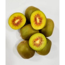 제주 레드키위 홍다래 선물세트 3kg 5kg 당도보장, 5kg/중과/70과내외