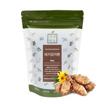 신선약초 국산 돼지감자환 300g / 국우 뚱단지, 1개