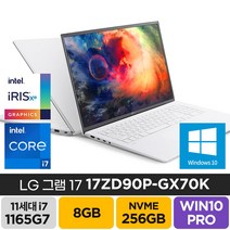 LG 그램17 17ZD90P-GX70K 17.3인치 노트북, 8GB, SSD 256GB, 윈도우 포함, WIN10 Home, 코어i7