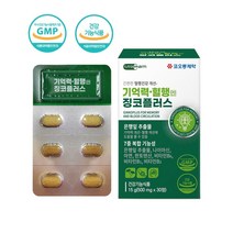코오롱제약 기억력 혈행엔 징코플러스 은행잎추출물 나이아신 판토텐산 징코 뇌건강영양제 혈관에좋은음식 집중력 PS 포스파티딜세린 플라보놀 다리붓기 저림 수험생 노인 직장인, Zinco+ 500mgx30정