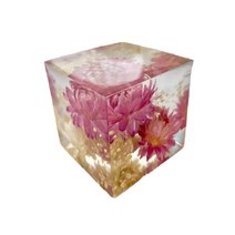 Lulus 룰루스 반짝이는 크리스탈 하바륨 helichrysum II 드라이 플라워 프리저, 상세페이지 참조