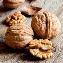 [충북농원] 신령 호두나무 묘목 - 실생1년생H0.3, 단품