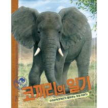 코끼리의 일기:아프리카코끼리가 들려주는 초원 이야기, 한울림어린이