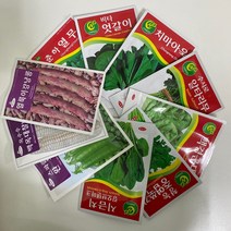 루아데코 채소재배 씨앗 모음 열무 시금치 완두콩 옥수수 베란다 텃밭만들기