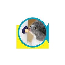 고양이 벽에 붙이는 비타민 연어사탕 아메리칸컬 터키, 1개, 참치맛
