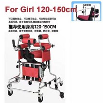 어르신보행기 보행보조기 노인보행기 성인용보행기 워커 보조 워킹 재활 장치 후방 롤오버 선반 도구 노인 스트로크 편마비, BOY