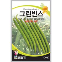 그린빈스 30립 / 씨앗 종자 풋강낭콩 넝쿨성 채두 조생종, 1개