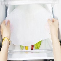 웰로스 냉장고탈취제 선도유지 패드 식품신선도유지 냉장고 항균 탈취제패드, 10매