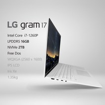 LG전자 2022 그램17(12세대) 17ZD90Q-GX76K [프리미엄 패키지] + 사은품 증정, Ferr Dos, 16GB, 2TB
