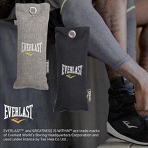 에버라스트 천연 숯 탈취제 2개입 -천연대나무숯 사용, 그레이