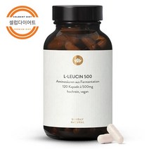 독일 류신타블렛 500mg 120 캡슐 정제 류신 단백질 타블릿 식물성류신