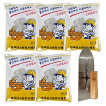 베이루 몰탈 시멘트 2kg 5개+흙손 건축물 보수 모르타르 가정 소포장 간편한 시멘트, 몰탈 시멘트 2kg 5개 +흙손
