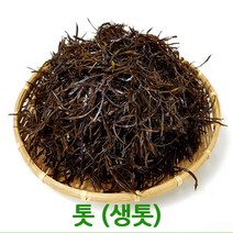 자체브랜드 청정완도산 생톳2kg, 선택하세요