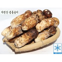 자연산 냉동송이 송이버섯 백두산송이버섯 햇송이 최고급 식자재 500g 명절선물, 1개, 1품 1kg