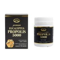 네이쳐스탑 프리미엄 유칼립투스 프로폴리스 5000mg 120정