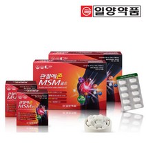 여자 영양제 건강 기능 식품 면역력 일양 관절애존 MSM골드 240정 관절영양제 엠에스엠, 일양 관절애존 MSM골드 240정-관