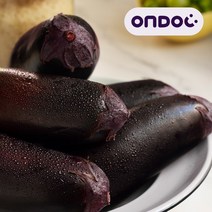 [온도씨]국내산 싱싱한 여주 금보라 생 가지 10개입내외 1.5kg(상), 단품