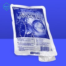 신선한 음식 냉동택배 아이스박스 얼음주머니 20개입