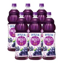 해태htb 썬키스트 훼미리 포도 100 1.5L, 6개