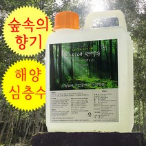 차씨네 해양심층수로 만든 편백수원액 4L+500ml 은은한 편백수의 향 피톤치트 천연 편백수 천연탈취제