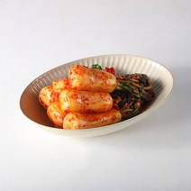 찬우물김치 총각김치, 1개, 찬우물 총각김치 10kg