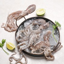 보성농수산 벌교 갯뻘 산낙지 대 중 소 싱싱한 더 맛있는 낙지 살아서 도착, 냉동낙지 소 5마리, 1개