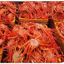 국내산 홍게 울진 동해바다 산지직송 국내 심해 홍게 8미 소자 중자 대자 자숙홍게 3kg, 홍게 8-10미소자 3kg (수율 75-85%)