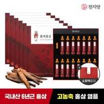 [천지양] 6년근 활력홍삼 앰플 20ml x 15병 x 6박스 + 쇼핑백, 6개, 단품