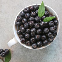 국내산 햇 손질 아로니아 생과 (급냉동), 1box, 10kg