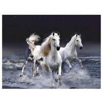 백마 성공 힘 사무실 거실 인테리어 그림 전체 큐빅 비즈 보석십자수 재료 만들기 세트, 70x50cm