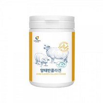 양태반에 피쉬콜라겐을 더한 분말 230g 보습 영양제 피부 건강, 상세페이지 참조, 상세페이지 참조