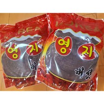 원헬스 영지버섯 1K/4개 홍영지 자연산영지 한국정품100%, 4개