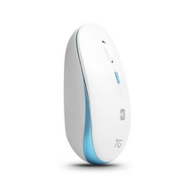 TG삼보 TG-M300GN 무소음 무선 마우스 1600dpi 50g 초경량 양손형 절전모드, 블루