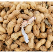 국산 자연건조 생땅콩 피땅콩 2kg, 국산 생(피땅콩) 2kg, 1개