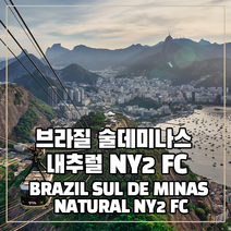 (커피생두) 49 브라질 술데미나스 내추럴 NY2 FC 500g