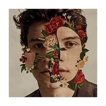 숀 멘데스 Shawn Mendes LP 음반 바이닐 레코드 앨범