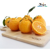 [제주명품] 제주 한라봉 3kg(7-9과)