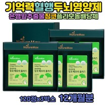 GINKGOBILOBA 집중력 공시생 수험생 공부 두뇌 영양제 뇌케어 징코빌로바 기억력 플라보놀배당체 부모님선물 유해산소세포보호 엘페닐알라닌 비타민b6 DL-알라닌 L-트레오닌 히스티딘 세포분열 은행추출물 뇌영양제