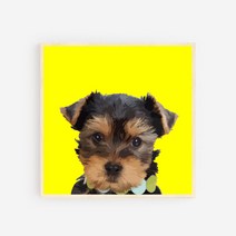 모두의팩토리 일러스트 강아지 나무액자 20종 반려견 우드 벽걸이액자 액자, AI05.요크셔테리어