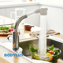 바디럽 6개월 세트 퓨어썸 필터 주방용 + 퓨어필터 1박스+컬러 비누받침 랜덤증정 (핸드타입/코브라타입) (녹물제거 주방필터 싱크대수전) 230035, [염소제거]핸드형+프로퓨어필터 1박스(4개)